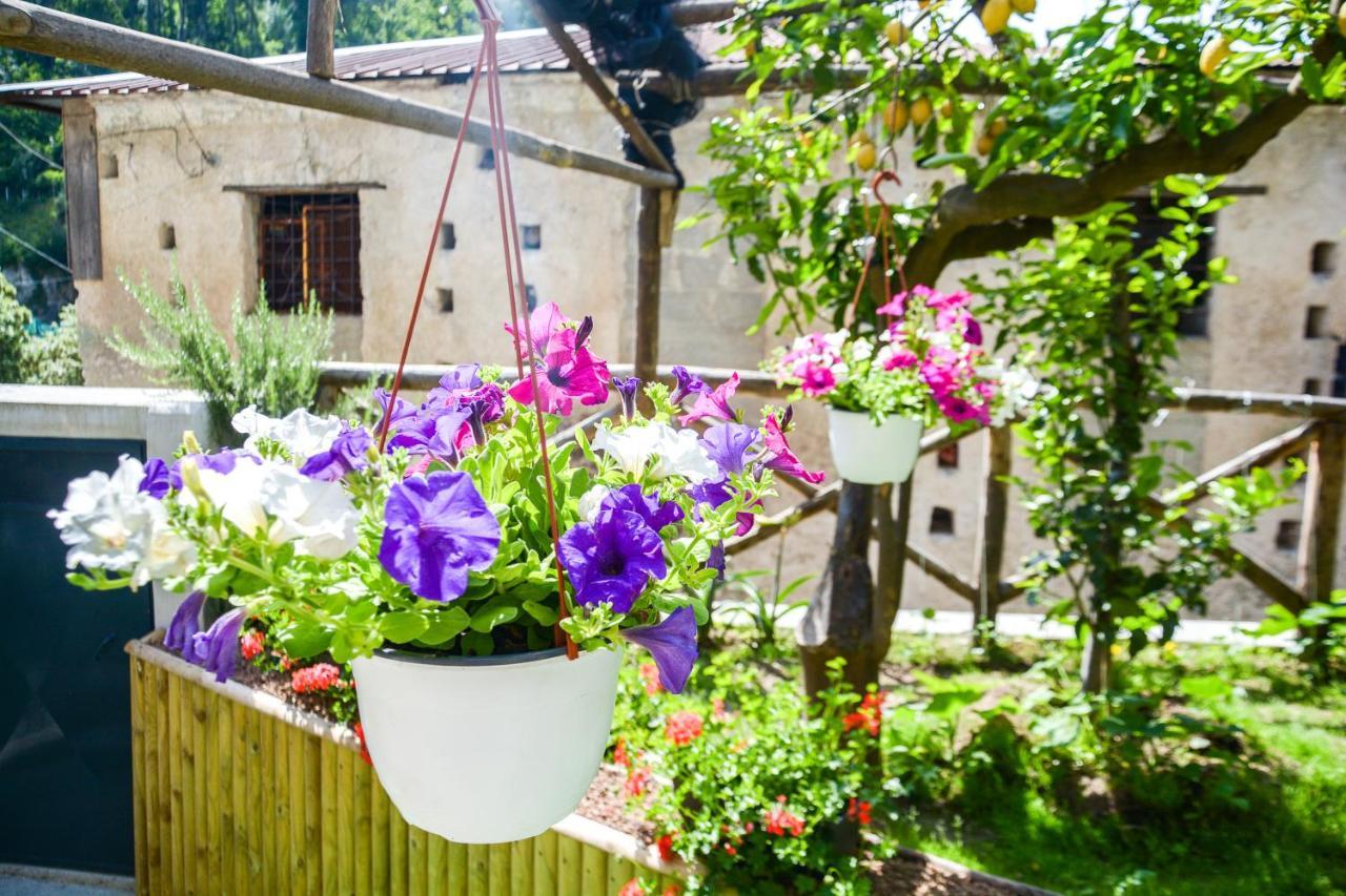 Holiday House Ruocco Maiori Exterior photo